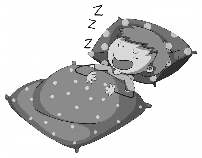 Sleep and Decision-Making
