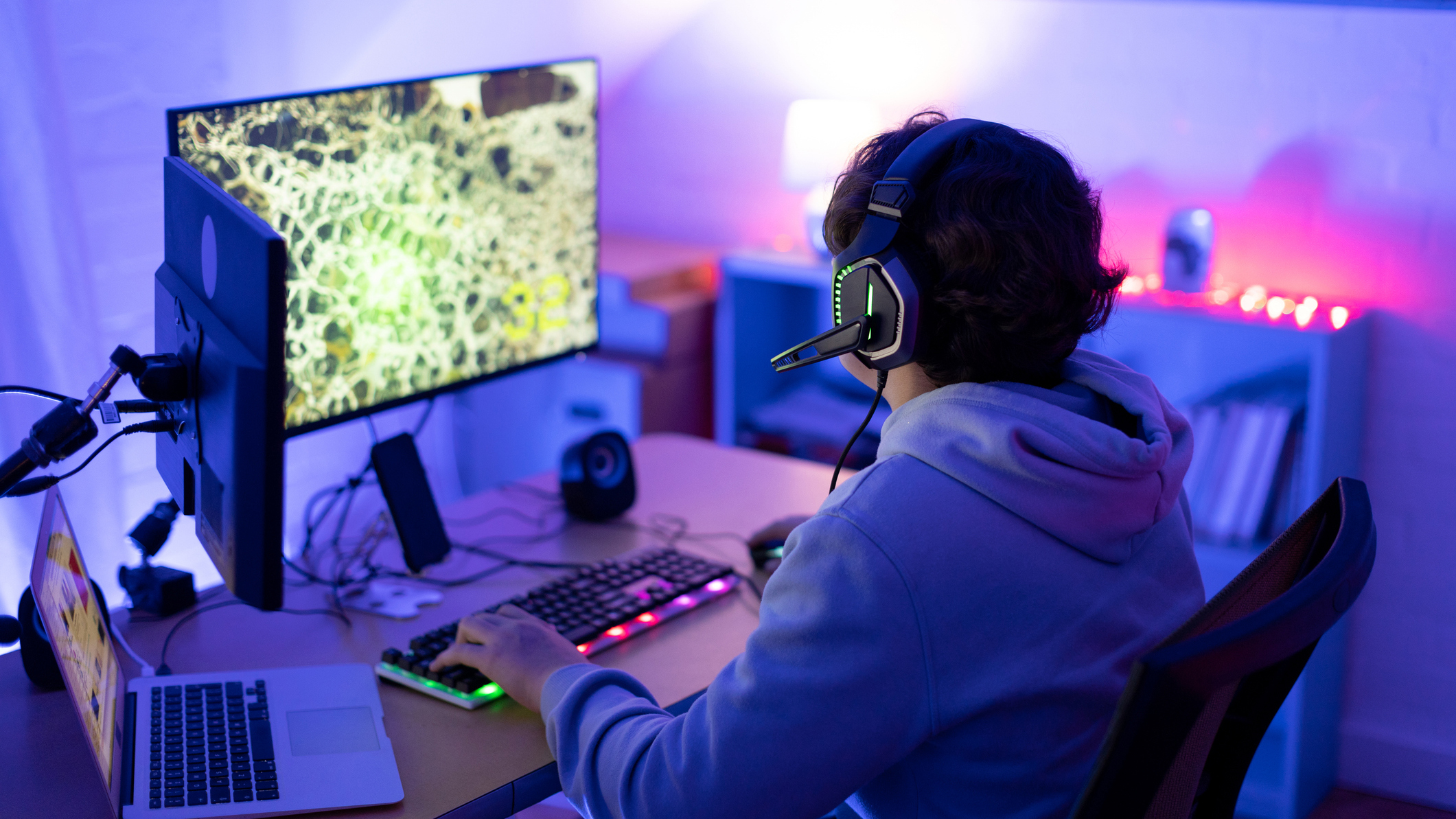 Player Demographics and Preference Patterns