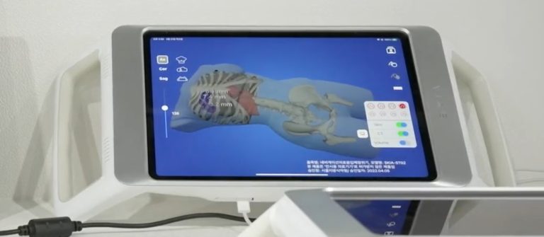 Skia Tablet - CT MRI 3D Scan Live AR Model