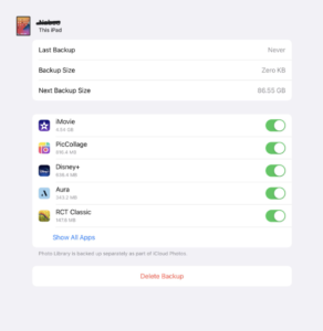 Why is my iCloud backup so big?