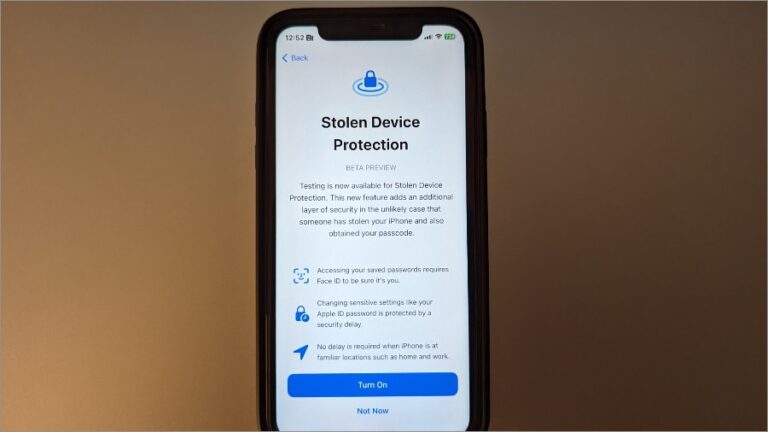 Worried About iPhone Theft? Protect Your Financial Data with This Hidden Setting