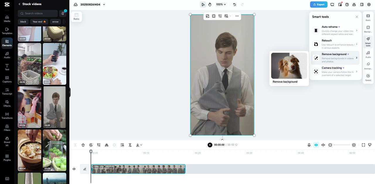 Background Remover for Cohesive Multi-Clip Video Projects