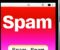 How To Check Spam Folder On IPhone