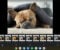 8 Unique Photo Editing Apps for Chromebook